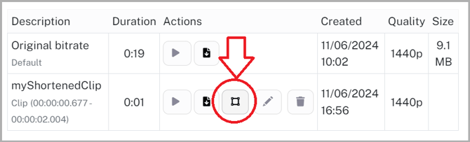 Vault-VideosPage-EditVideo-Clips-Redaction